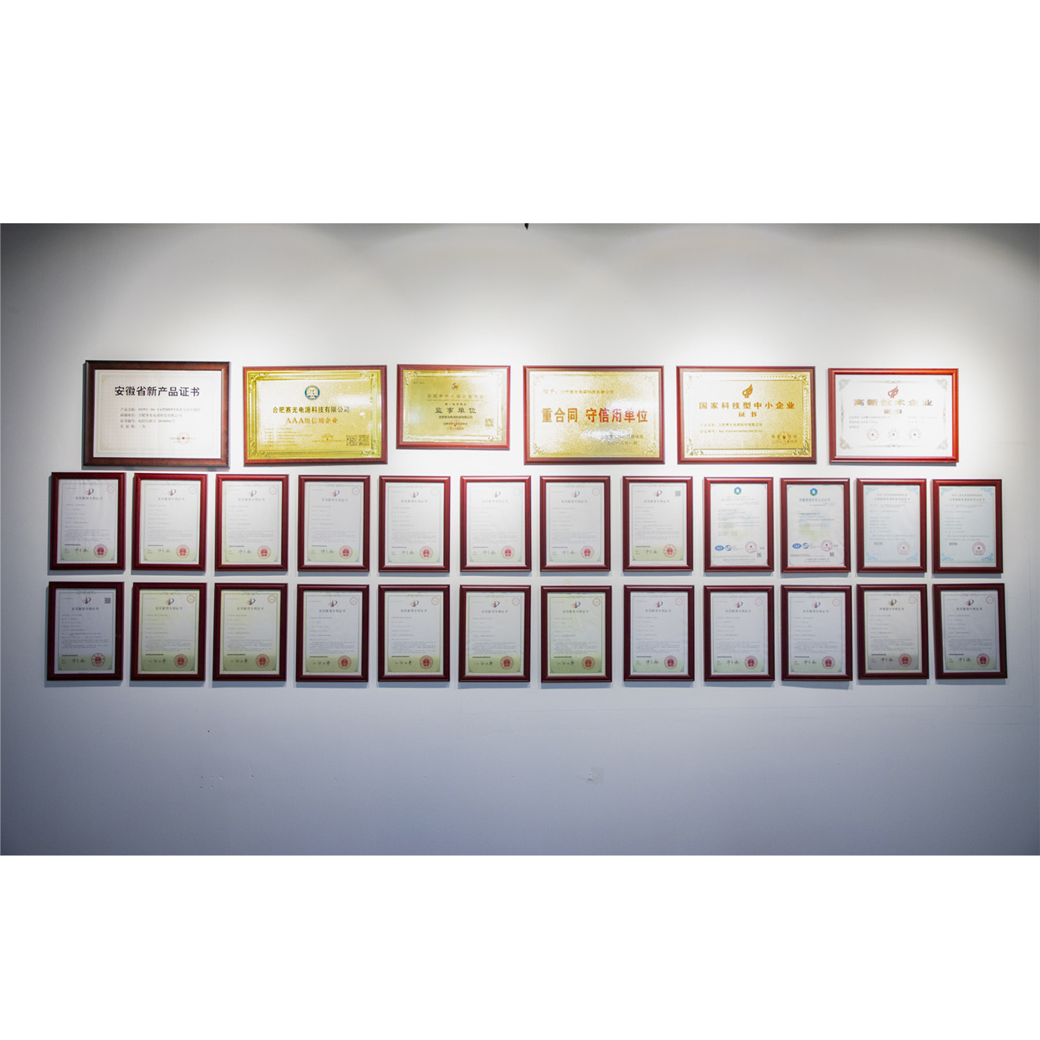 China Anhui Sunway New Energy Technology Co., Ltd. company profile