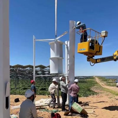 Off Grid Home 3kw Wind Turbine Generator with 48V/96V/120V/220/380V Rated Voltage