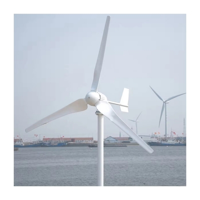 Affordable 5KW Wind Solar Power System with Pure Sine Wave Inverter and Low Frequency