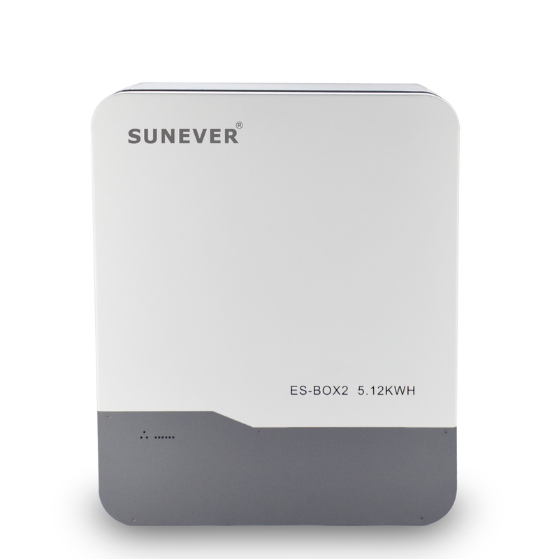 Wall-Mounted 48V/51.2V 100Ah Lithium Ion Battery with and B2B Buyer-Friendly Features