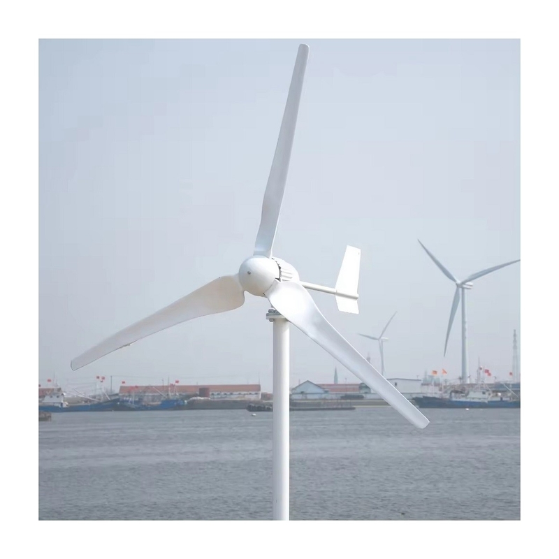 Affordable 5KW Wind Solar Power System with Pure Sine Wave Inverter and Low Frequency