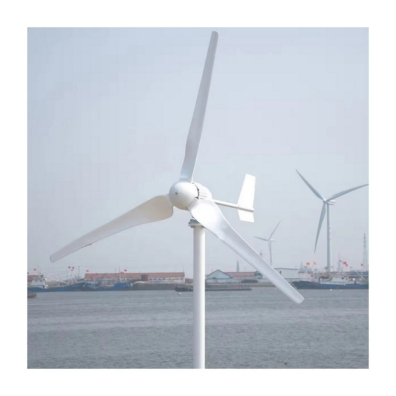 Wind Power System Home Hybrid Wind Mill Power Generator System Directly Sale 3KW/5KW/10KW