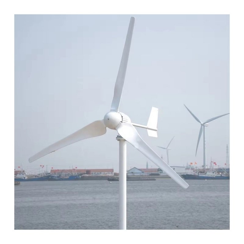 10Kw Off Grid Wind Solar Hybrid Power System with Pure Sine Wave Low Frequency Inverter