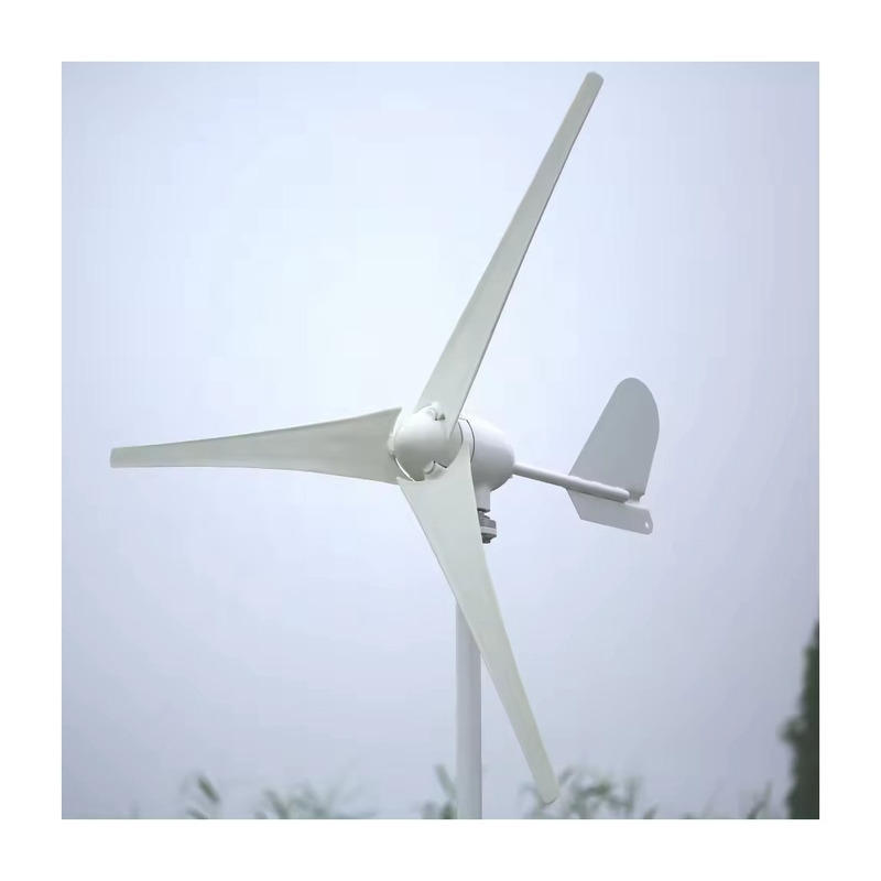 48V Off Grid Home Wind Generator System With 3 Phase AC Permanent Magnet Generator